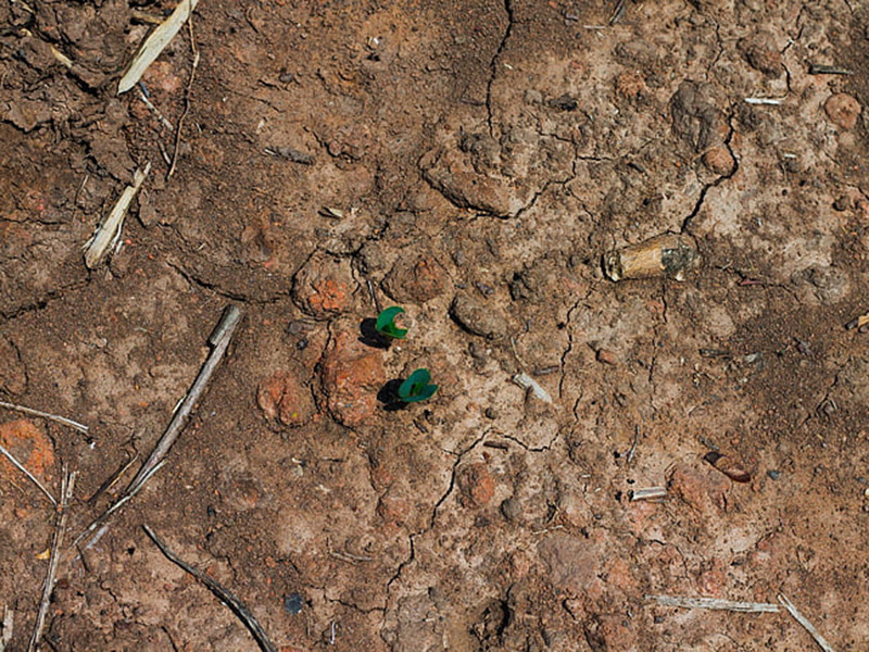 土壤檢測(cè)費(fèi)用一般是多少？