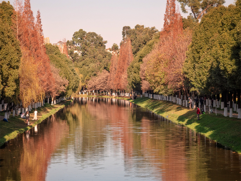 水質(zhì)檢測儀是什么原理（水質(zhì)檢測儀器檢測是什么指標(biāo)）