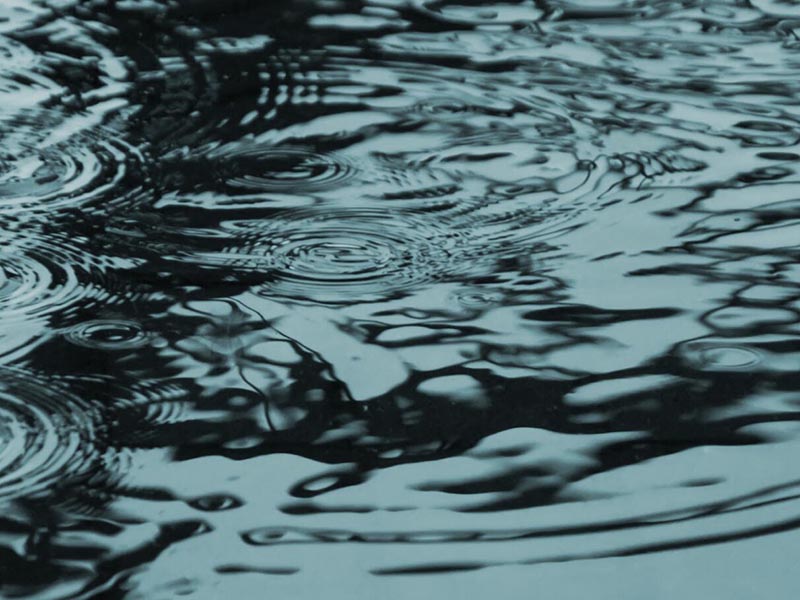 水質(zhì)生物毒性檢測技術(shù)介紹