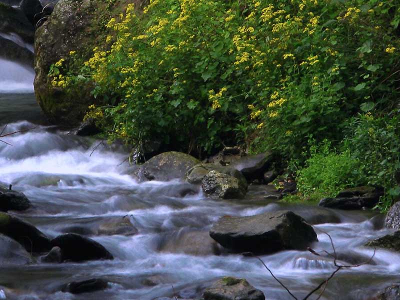 最新地表水水質(zhì)監(jiān)測數(shù)據(jù)統(tǒng)計