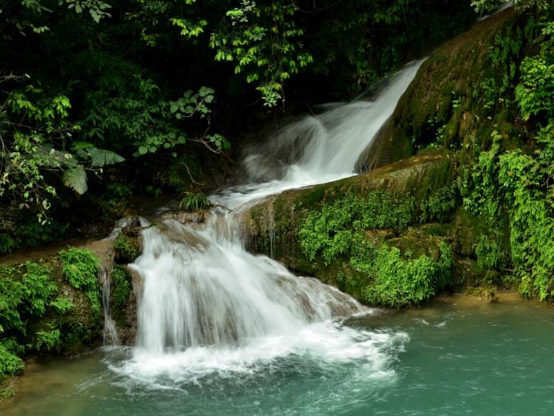 【統(tǒng)計】2020年全國用了多少水？共有多少個水廠？