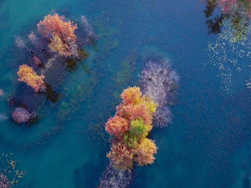 飲用水水質(zhì)監(jiān)測指標有哪些