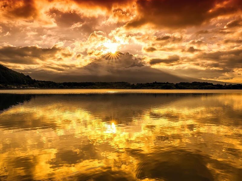 水質(zhì)大腸桿菌在線監(jiān)測儀價(jià)格