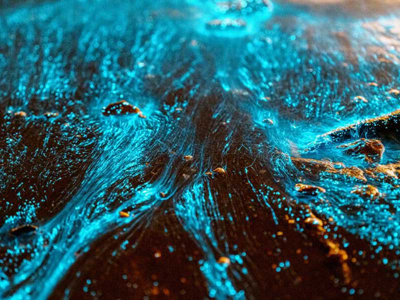 在線水中油分析儀原理