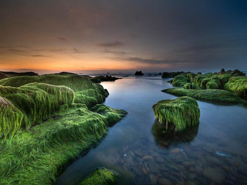 總磷快速測(cè)定儀檢定規(guī)程