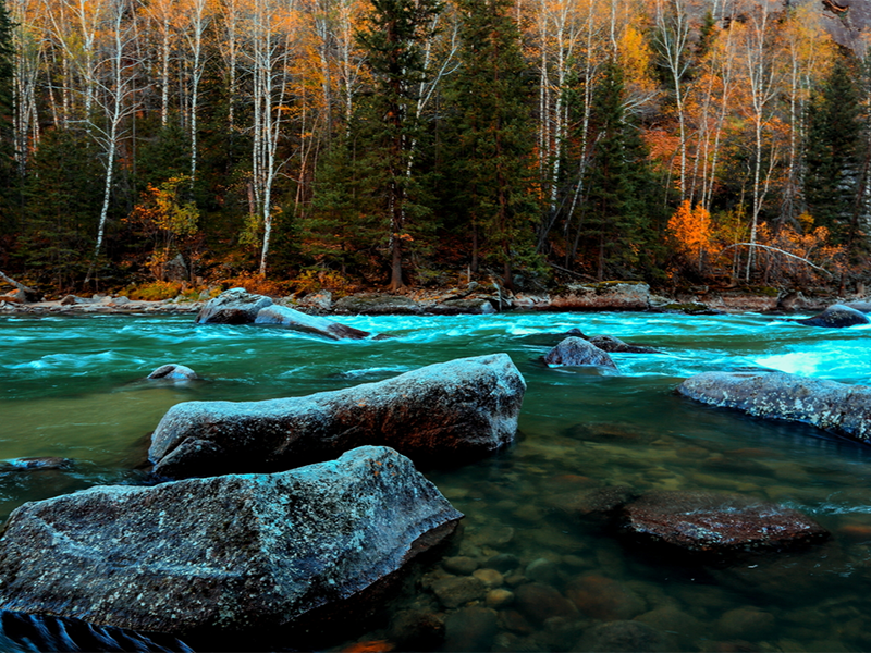 水質(zhì)總磷檢測步驟及注意事項
