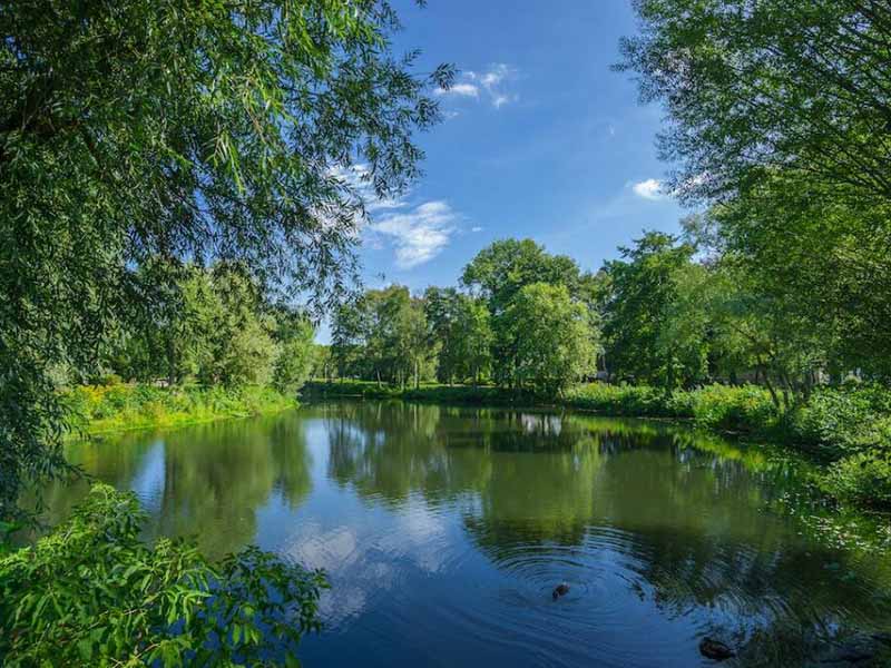 水體富營(yíng)養(yǎng)化有哪些危害