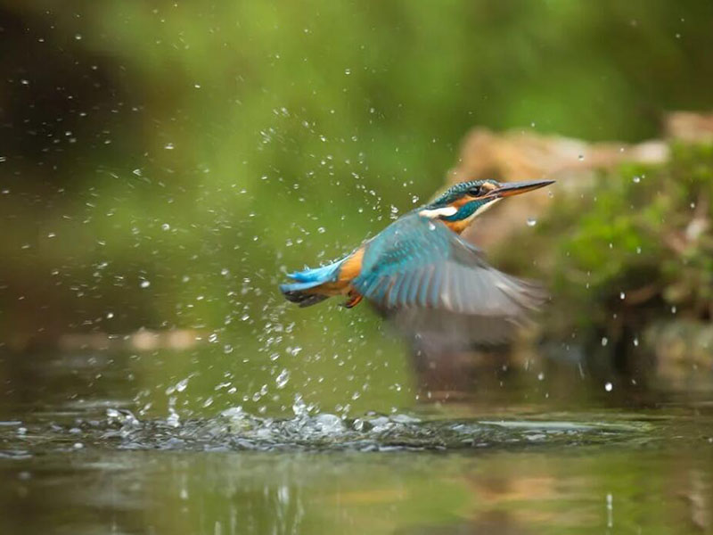 總氮測定儀工作原理