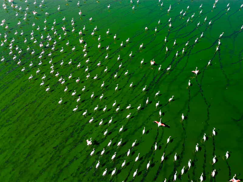 氨氮總氮檢測儀類型（氨氮總氮檢測儀適用場景）