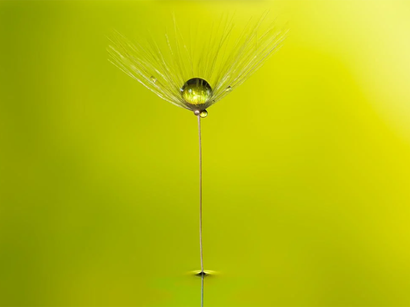 在線氨氮分析儀檢定規(guī)程（在線氨氮分析儀安裝、使用及維護(hù)）