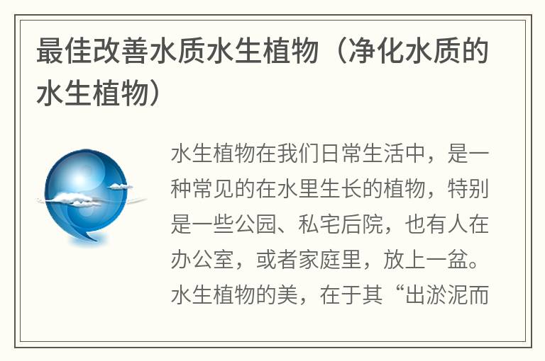 最佳改善水質(zhì)水生植物（凈化水質(zhì)的水生植物）