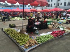 食品安全檢測(cè)儀能檢測(cè)什么食品？