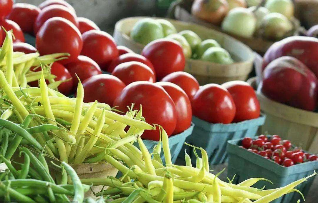 土壤氮磷鉀測定儀