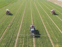 土壤肥力測試儀提高土壤保水保肥能力