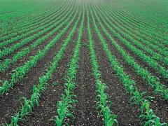 土壤墑情監(jiān)測儀，為實現(xiàn)節(jié)水增糧奠定基礎