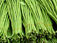 豆角中含有滅蠅胺？怎么解決？