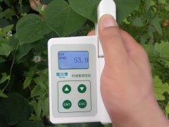 怎樣檢測活體植物的葉綠素含量？