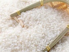 大米重金屬鎘檢測儀，可實現(xiàn)重金屬的快速定量檢測分析